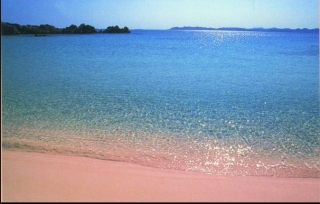  the colors of the sun 